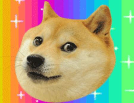 doge unbloked|More.